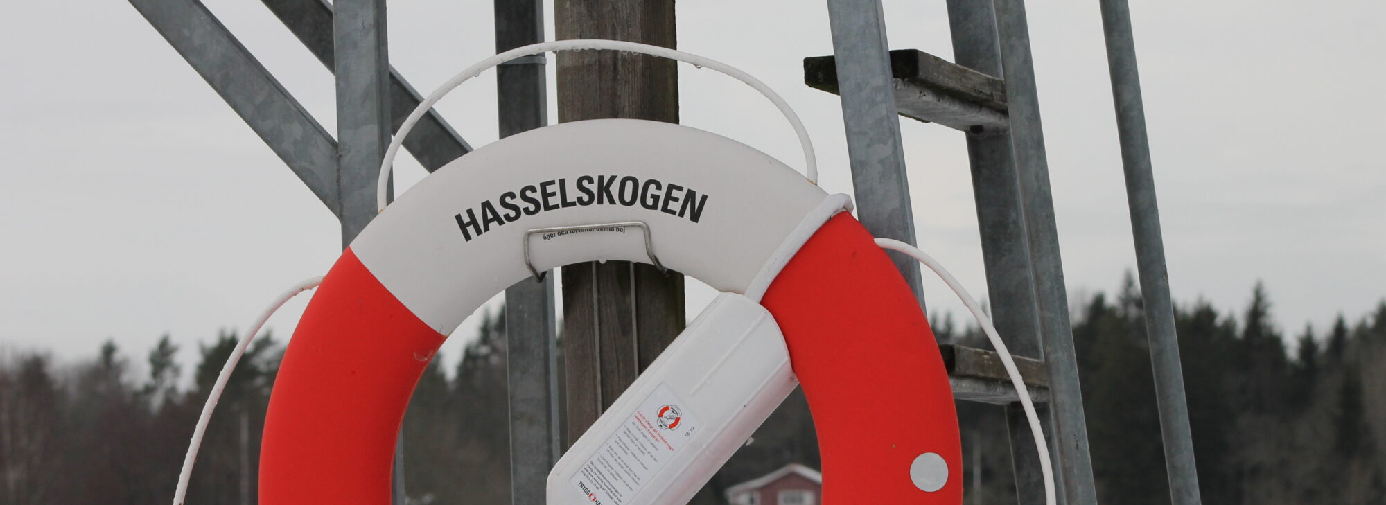 Hasselskogens Tomtområde